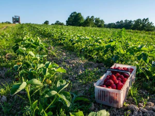 Farm stay Agroturystyka Jodlowa *
